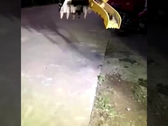 Фабрика на заказ новый мини экскаватор гидравлический сцепление ведро для продажи